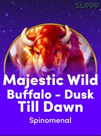 Majestic Wild Buffalo   Dusk Till Dawn