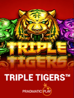 Triple Tigers Slot Terbaru: Review dan Info Lengkap